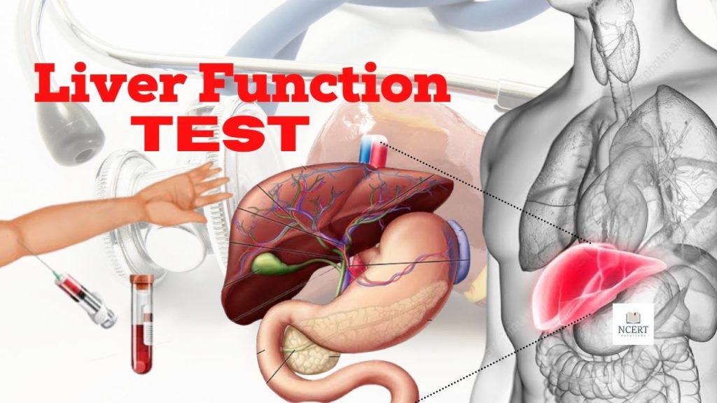 Liver Function Testing